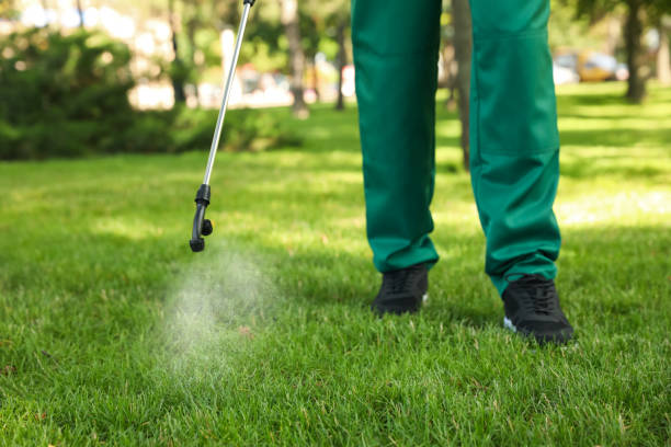 Best Local Pest Control Services  in Uniontown, AL