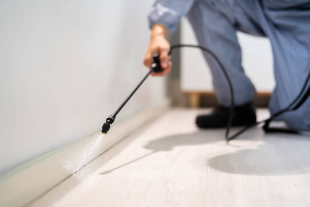 Professional Pest Control in Uniontown, AL