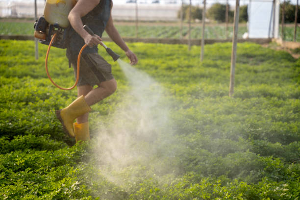 Best Best Pest Control Companies  in Uniontown, AL