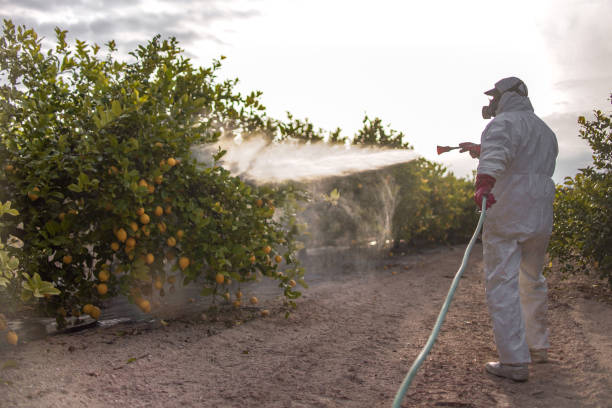 Professional Pest Control in Uniontown, AL