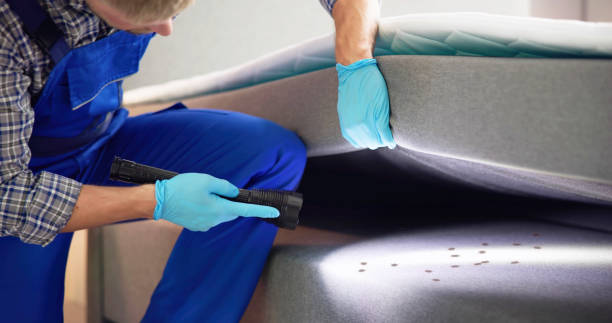 Best Mosquito Control Services  in Uniontown, AL