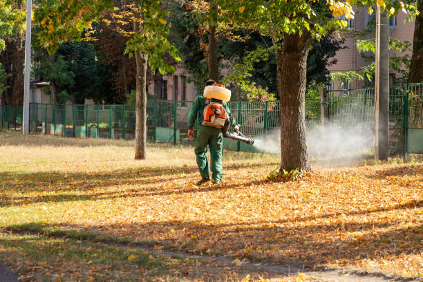 Best Rat Extermination Near Me  in Uniontown, AL