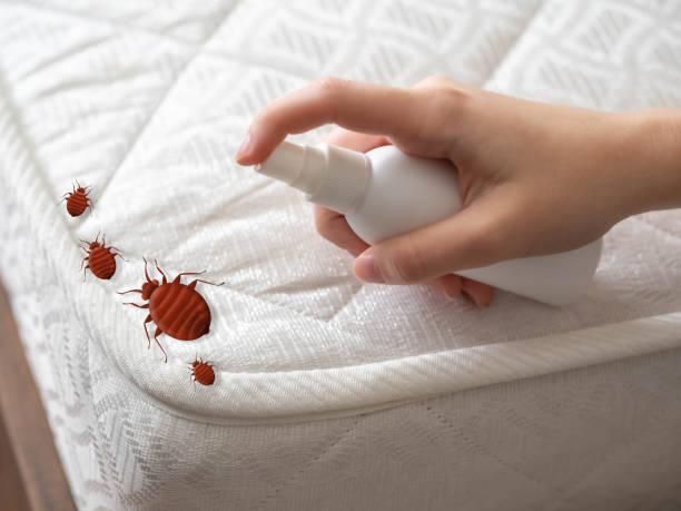 Best Flea Control Services  in Uniontown, AL