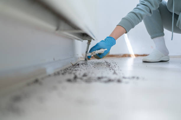 Best Mosquito Control Services  in Uniontown, AL