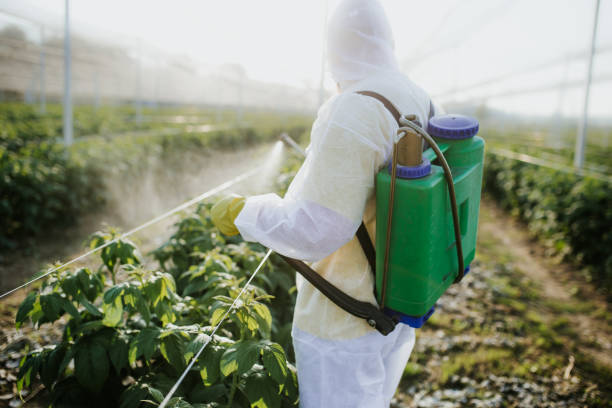Best Flea Control Services  in Uniontown, AL